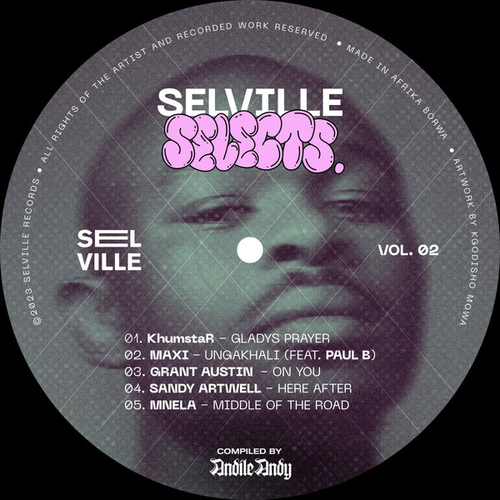 VA - Selville Selects Vol. 02 - Compiled By AndileAndy [SVR093]